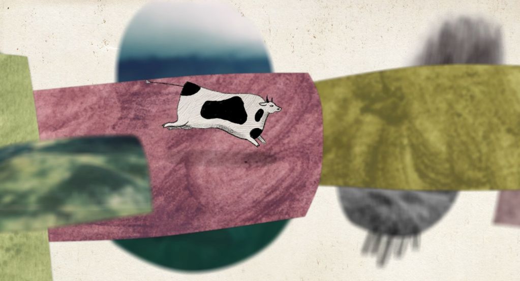 New film About a Cow made by Pavla Baštanová