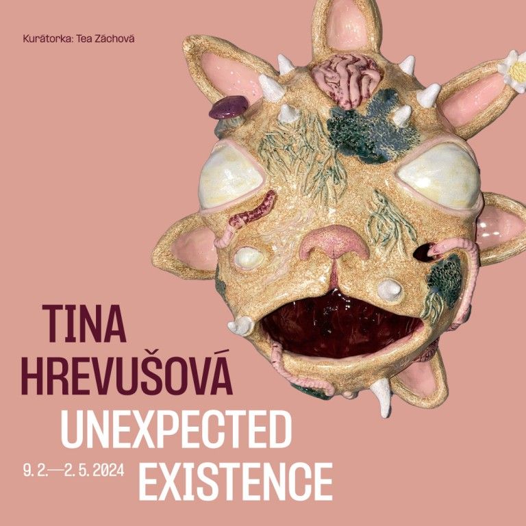 Unexpected Existence / Tina Hrevušová