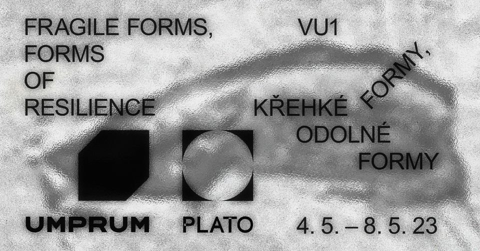 Symposium: Fragile Forms, Resistant Forms