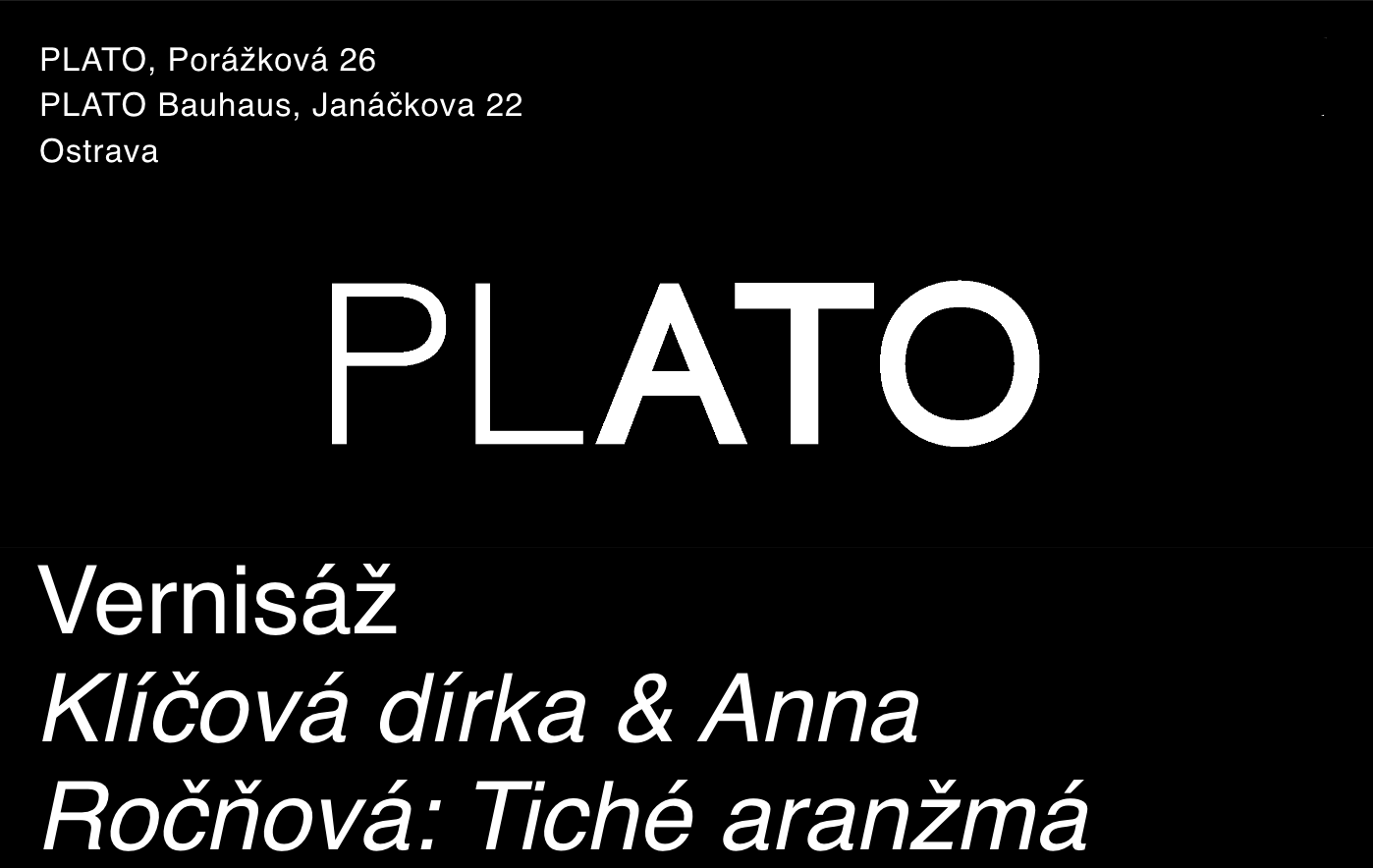 Anna Ročňová: Tiché aranžmá