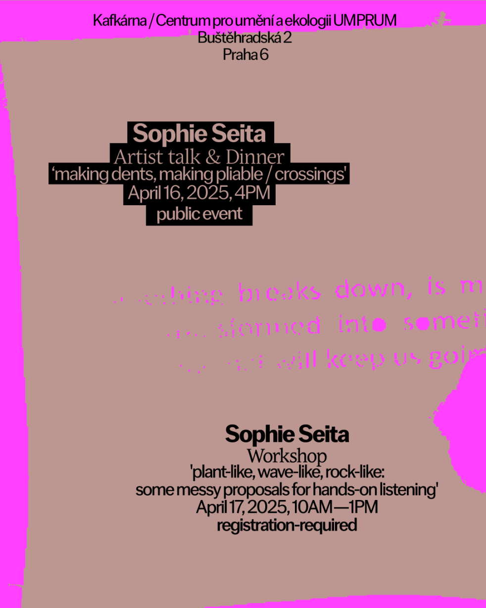 SOPHIE SEITA ࿓𓆰༄ ARTIST TALK + WORKSHOP