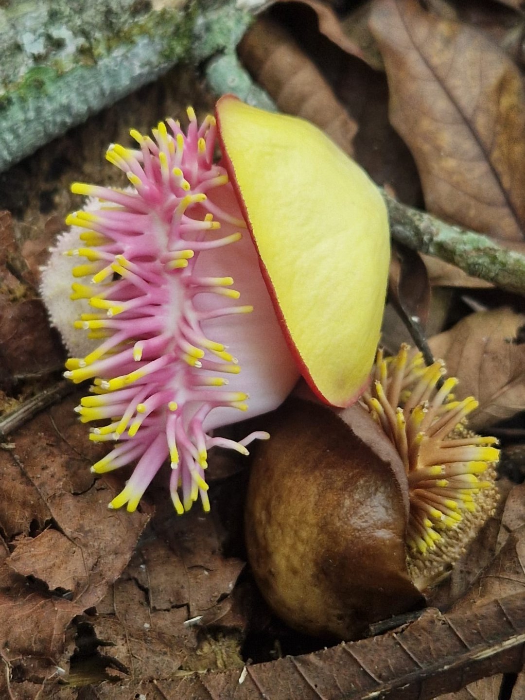 THE PROGRAM OF THE UMPRUM VISITING ARTIST STUDIO IN THE 2025/2026 FALL SEMESTER