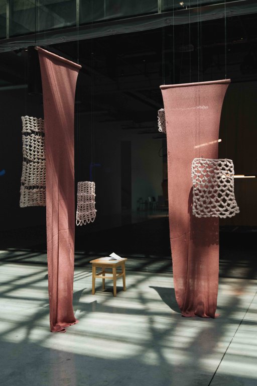 Alžběta Pomahačová