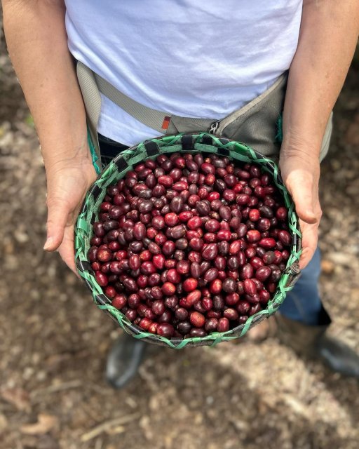 Nový partner UMPRUM: Café Ebel nabízí studentům a absolventům slevu a zve k objevování výběrové kávy