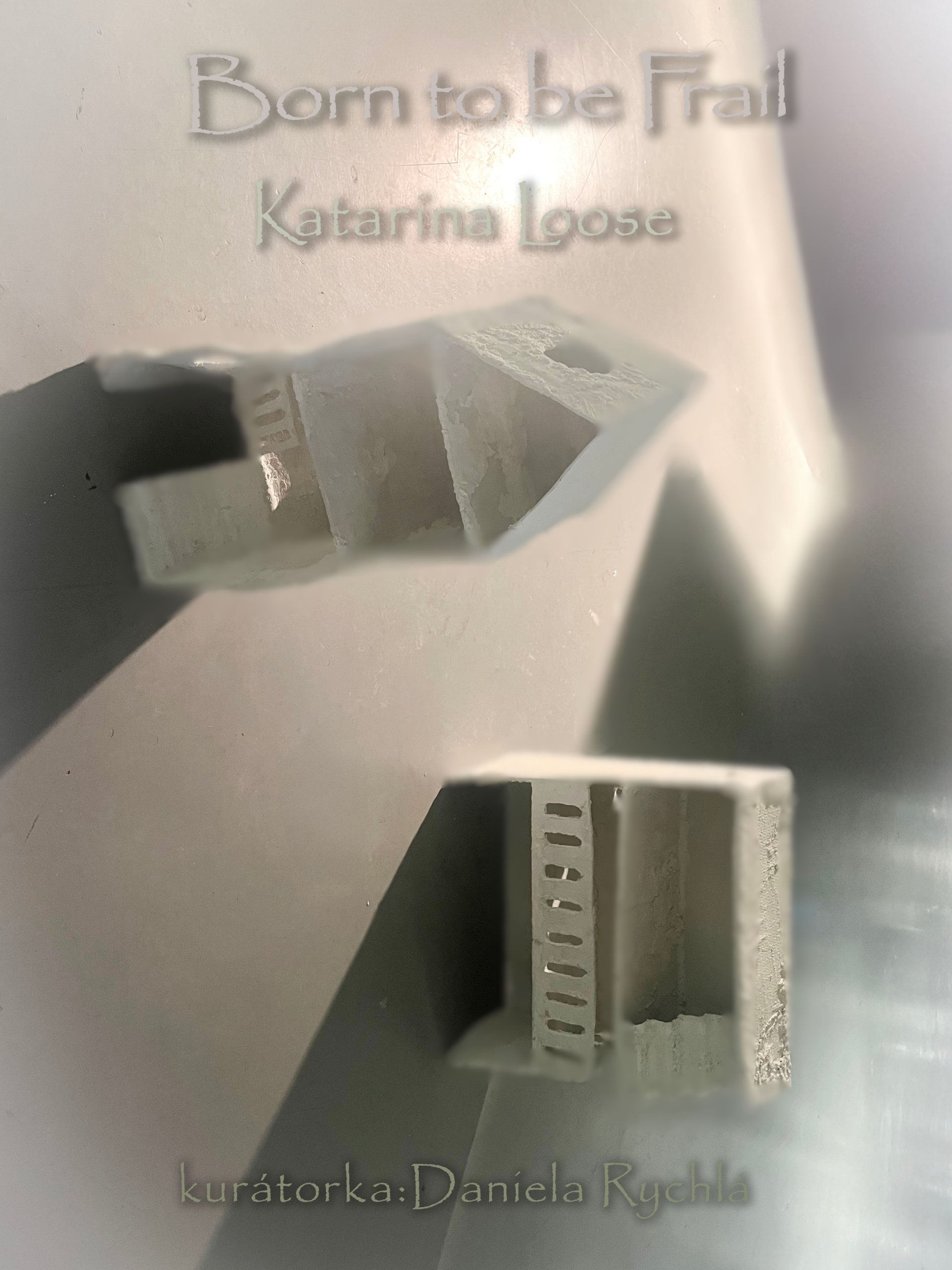 Kateřina Loose: Born to be Frail
