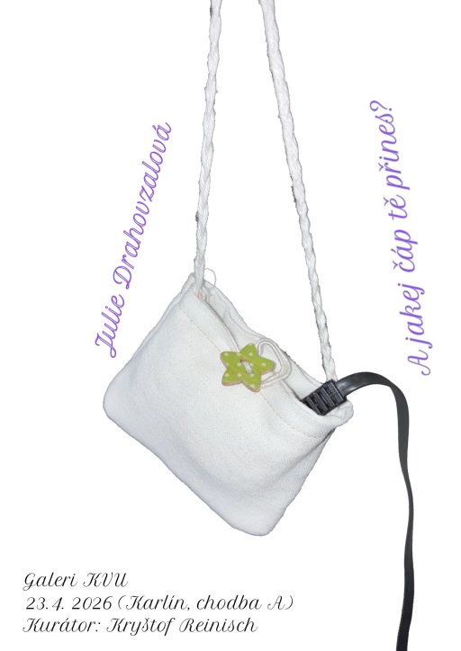 Julie Drahovzalová: A jakej čáp tě přines? 