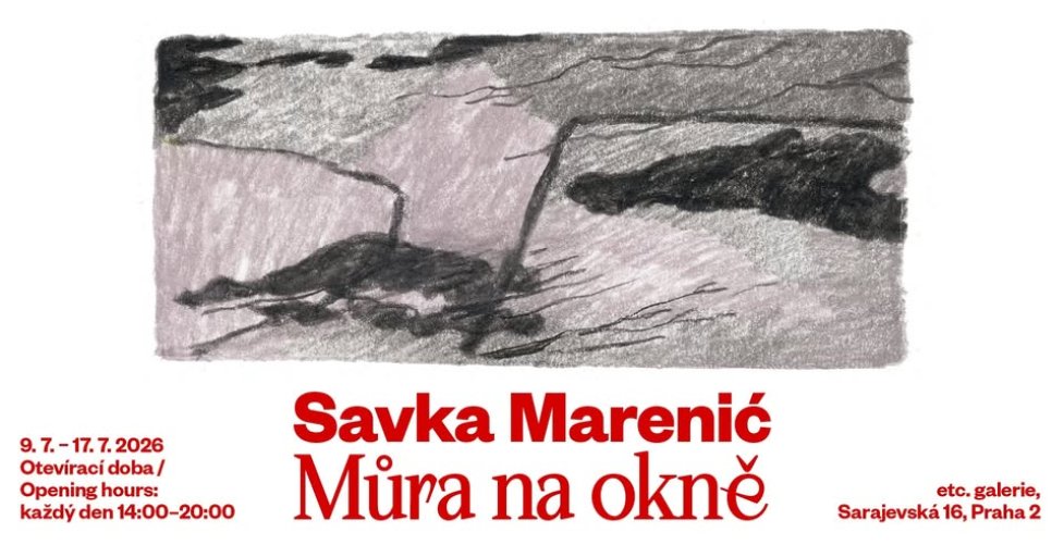 Savka Marenić: Můra na okně