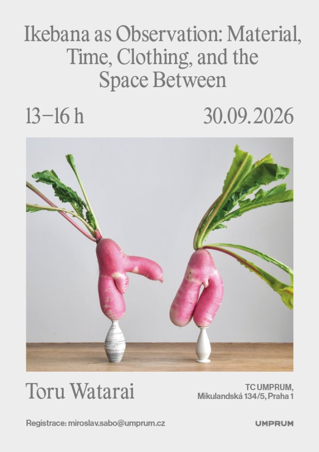 Ikebana as Observation - Material, Time, Clothing, and the Space Between