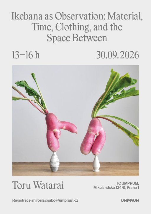 Ikebana as Observation - Material, Time, Clothing, and the Space Between