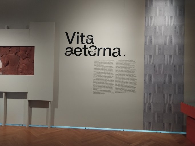 Pohled do výstavního sálu Pohled do výstavního sálu