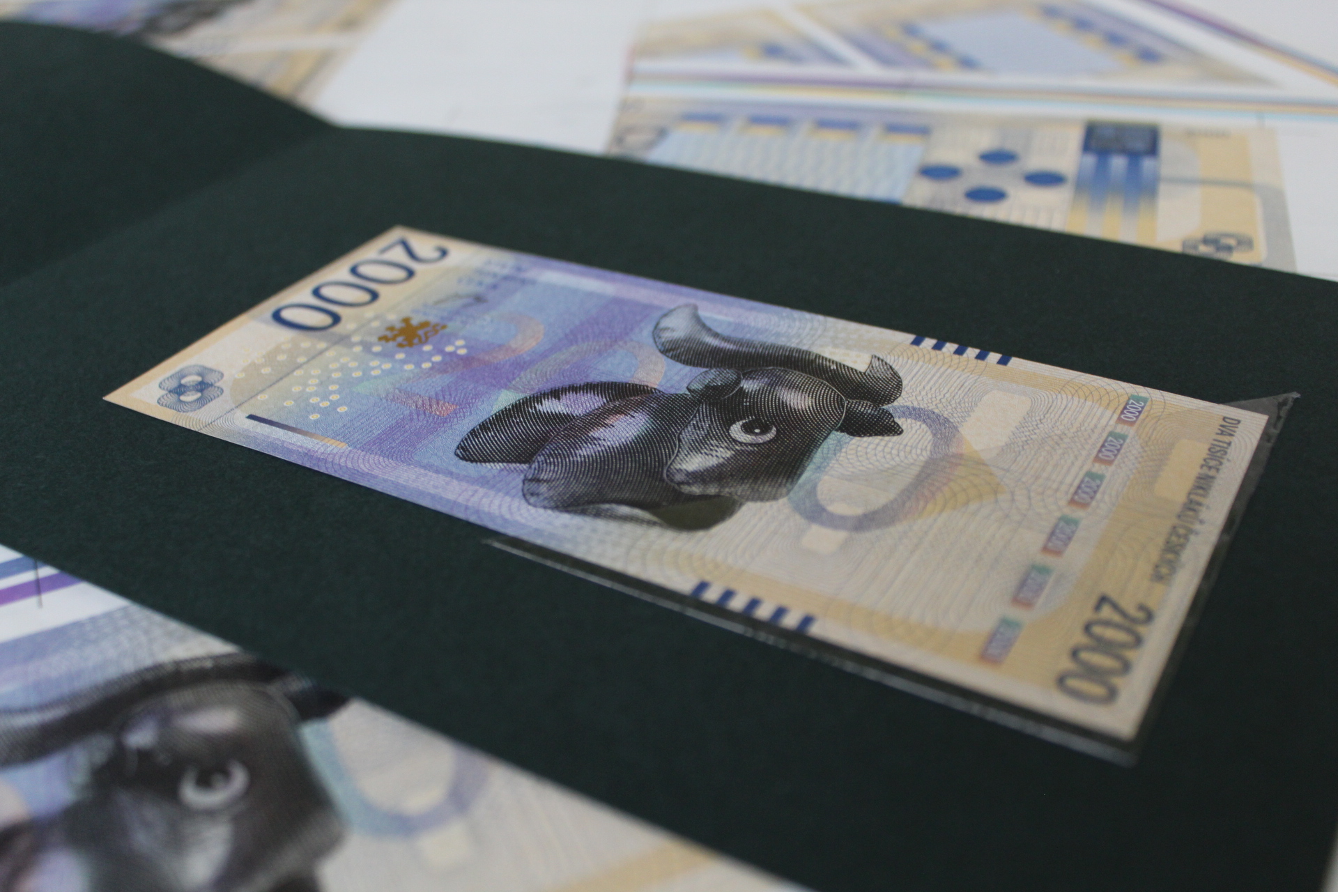 Bankovky a osobní doklady očima studentů UMPRUM