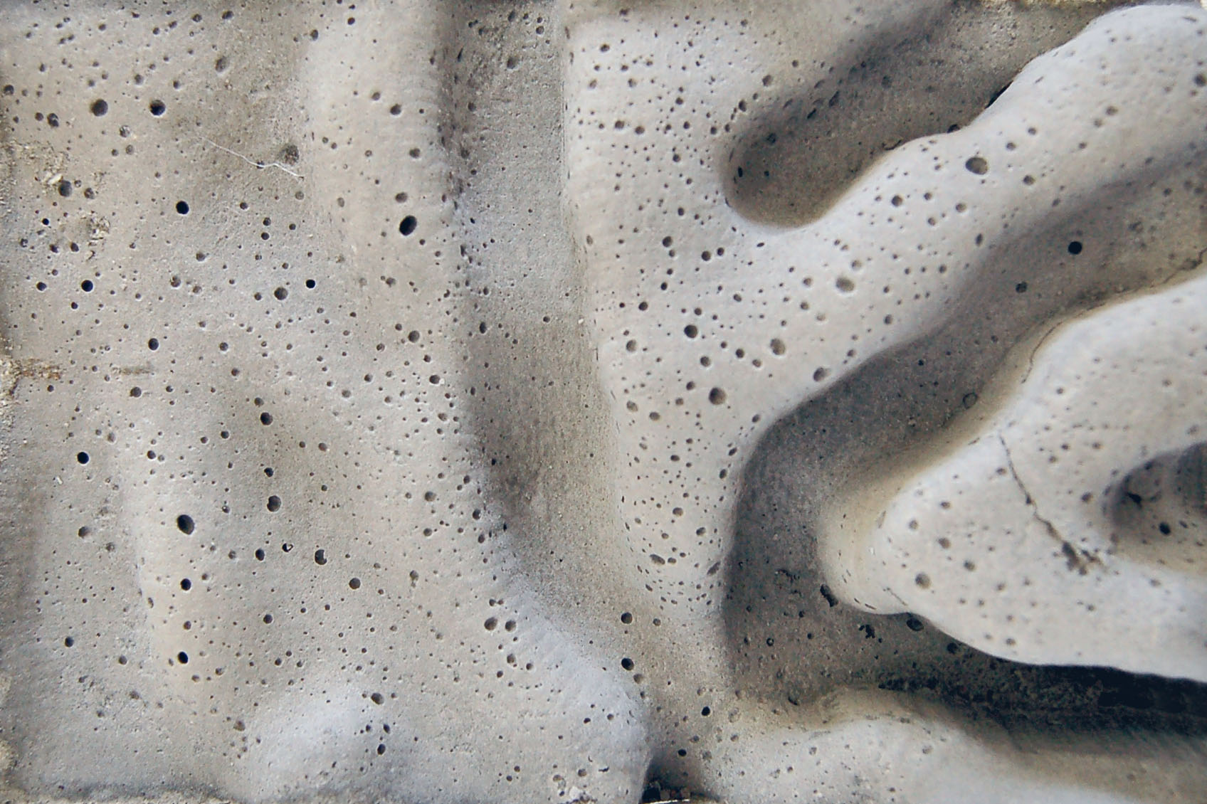 SYNTHESIZING / DISTANCING - Platforma & Photosynthetic Landscapes