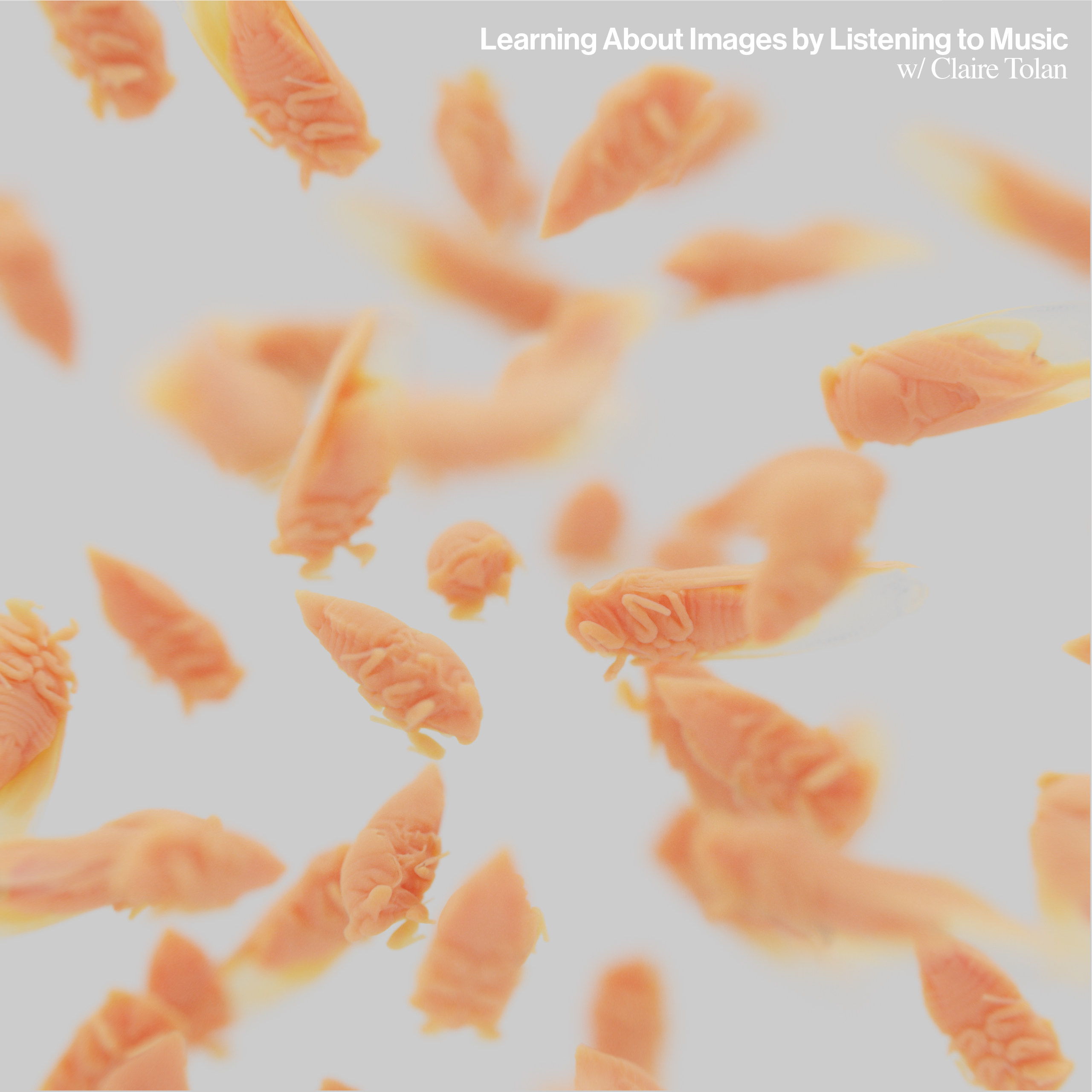 Learning About Images by Listening to Music with Claire Tolan