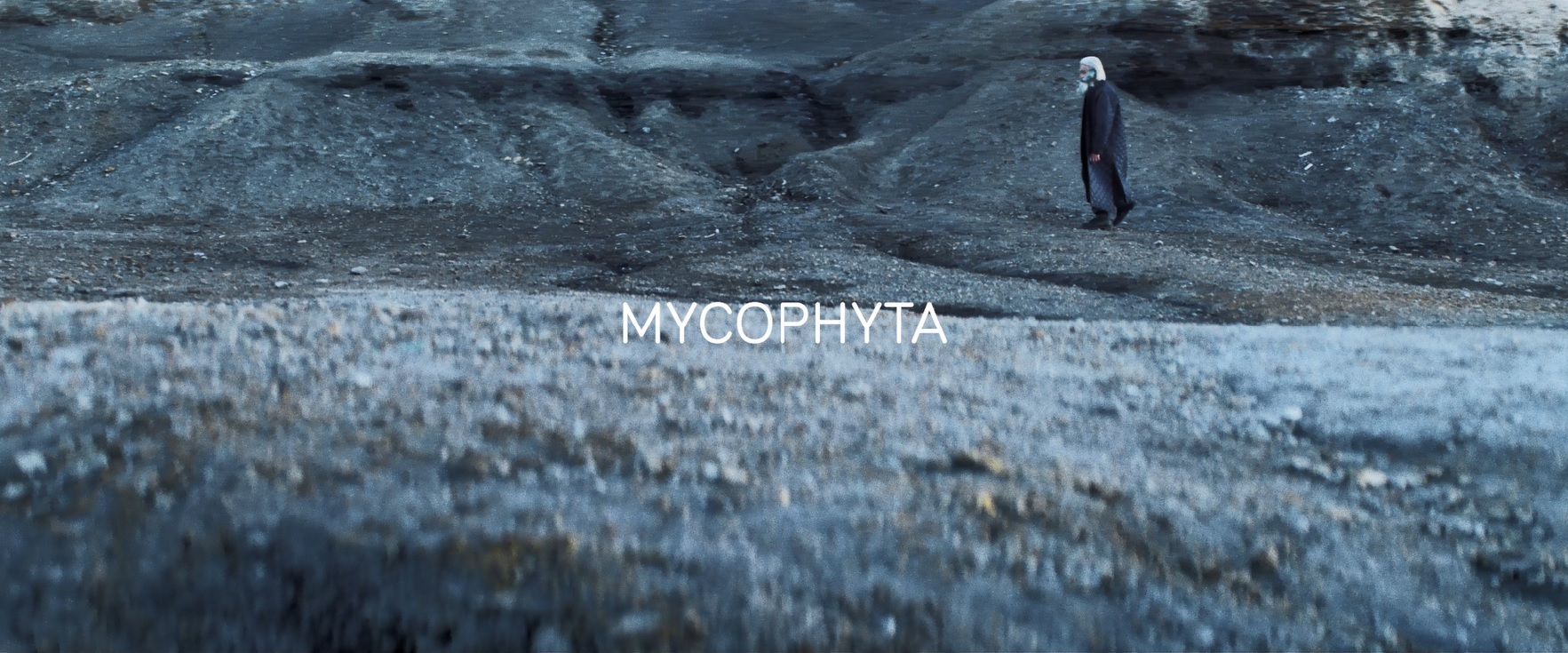 Filmy Terezie Lexové a Tomáše Rachunka odhalují budoucnost jídla