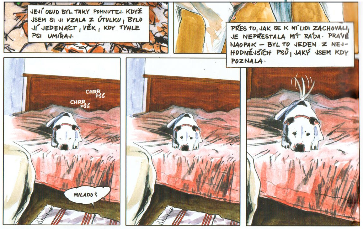 Zvířata a jejich práva v komiksu: přednáška a workshop pro děti