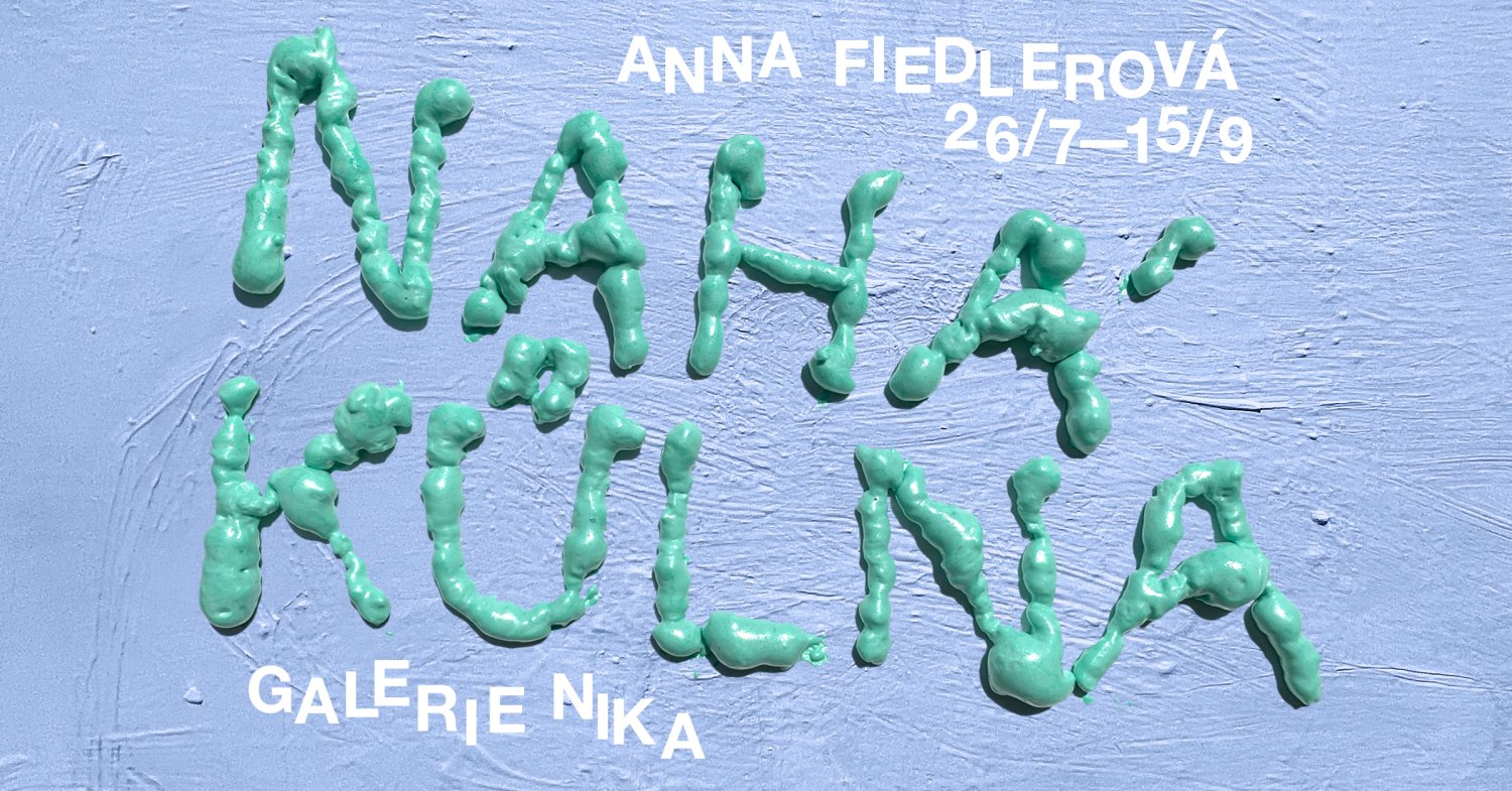 Anna Fiedlerová: Nahá kůlna