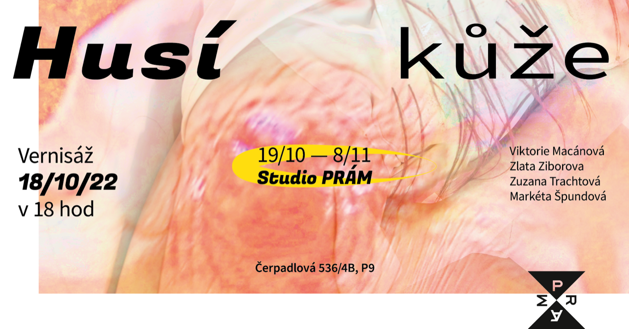 Husí kůže