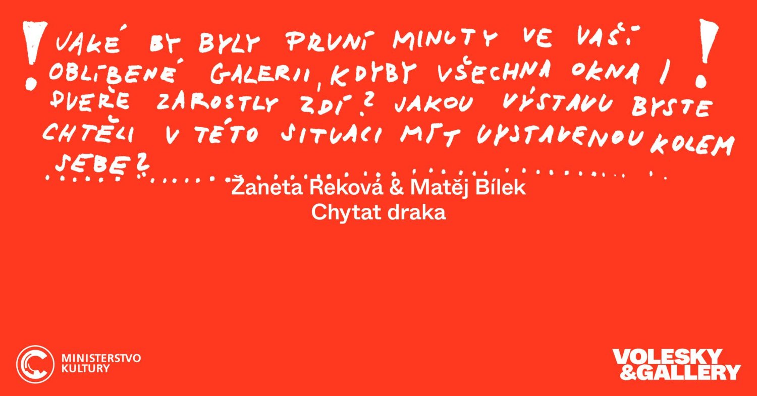 Žaneta Reková & Matěj Bílek: Chytat Draka