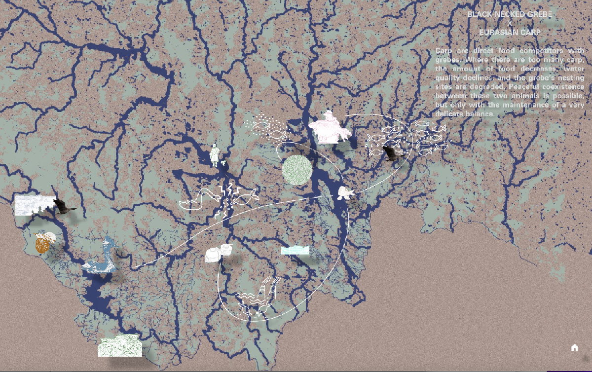 UMPRUM Online // Planeta B – Aquatic Alliances