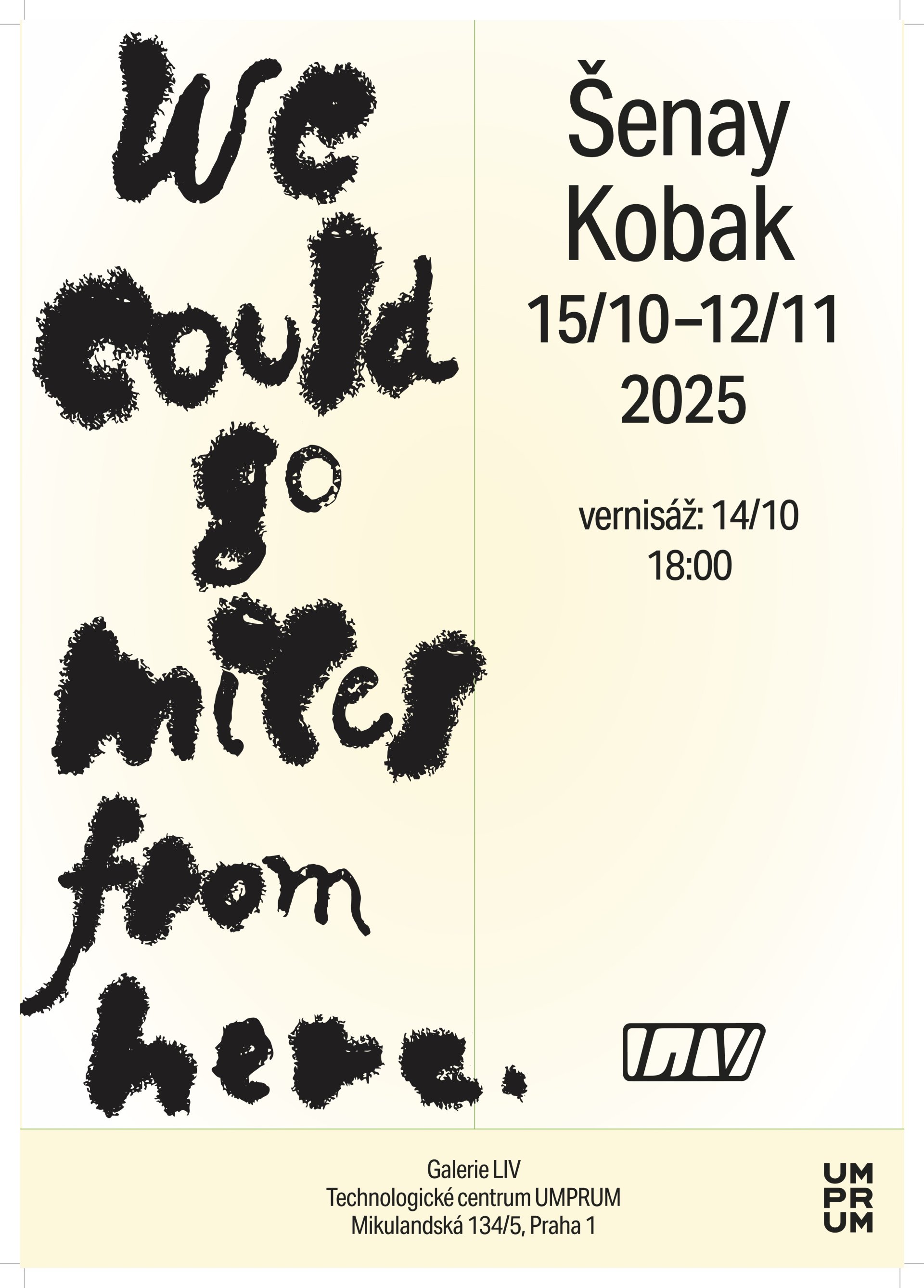 Šenay Kobak: We could go miles from here v LIV  