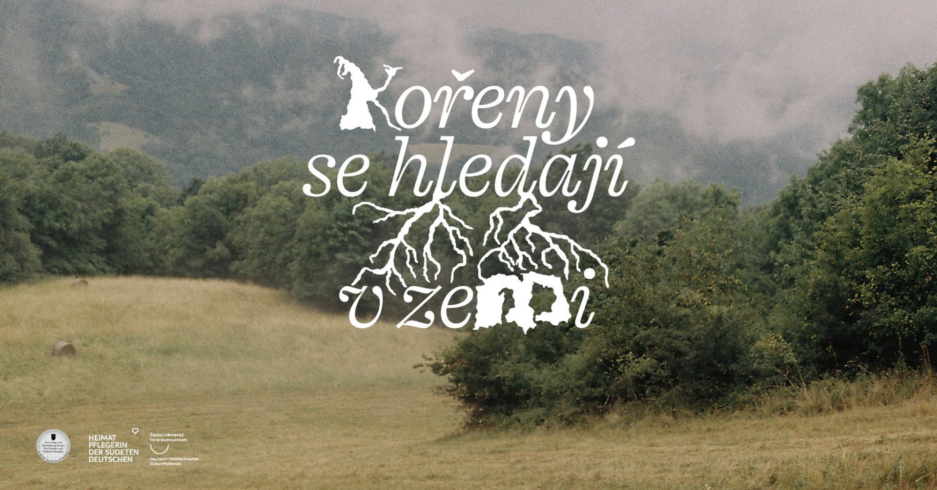 𝓚𝓸𝓻̌𝓮𝓷𝔂 𝓼𝓮 𝓱𝓵𝓮𝓭𝓪𝓳𝓲́ 𝓿 𝔃𝓮𝓶𝓲 ༗𓆱𓆰  𝓹𝓸𝓼𝓵𝓮𝓬𝓱𝓸𝓿𝔂́ 𝓿𝓮𝓬̌𝓮𝓻 𝓿 𝓶𝓪𝓰𝓲𝓬𝓴𝓮́ 𝔃𝓪𝓱𝓻𝓪𝓭𝓮̌