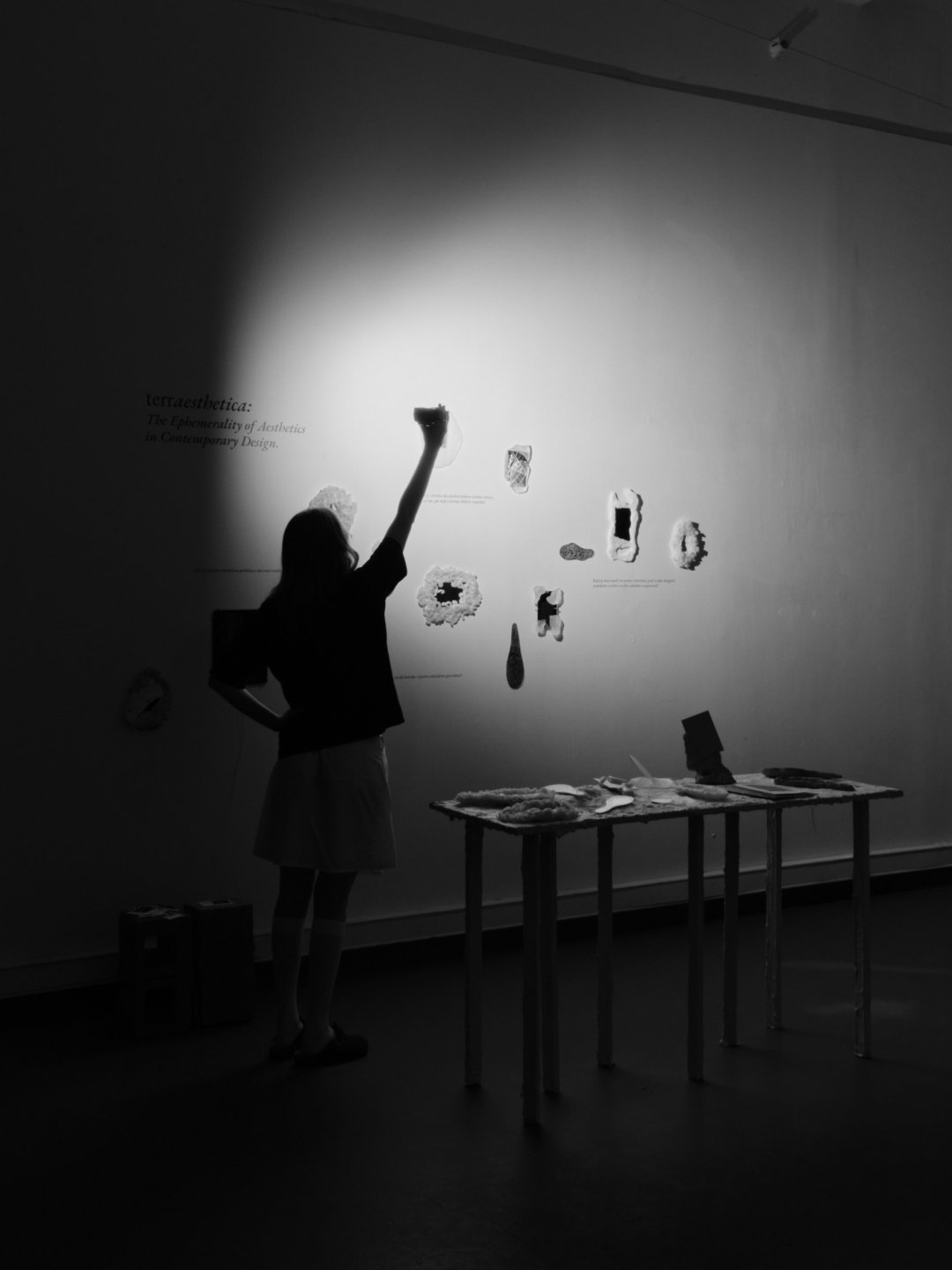 UMPRUM Online // Sofia Artemeva a… Terra Aesthetica