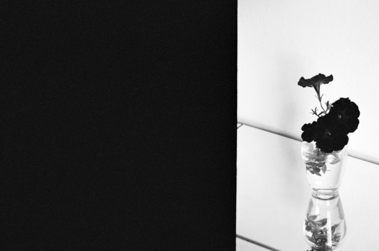 Radek Brousil v Ateliéru Josefa Sudka 