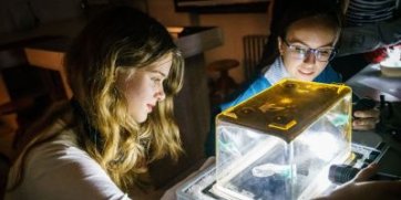 UNIVERSITAS - zajímavé články z akademického prostředí nejen na téma Ceny Neuron