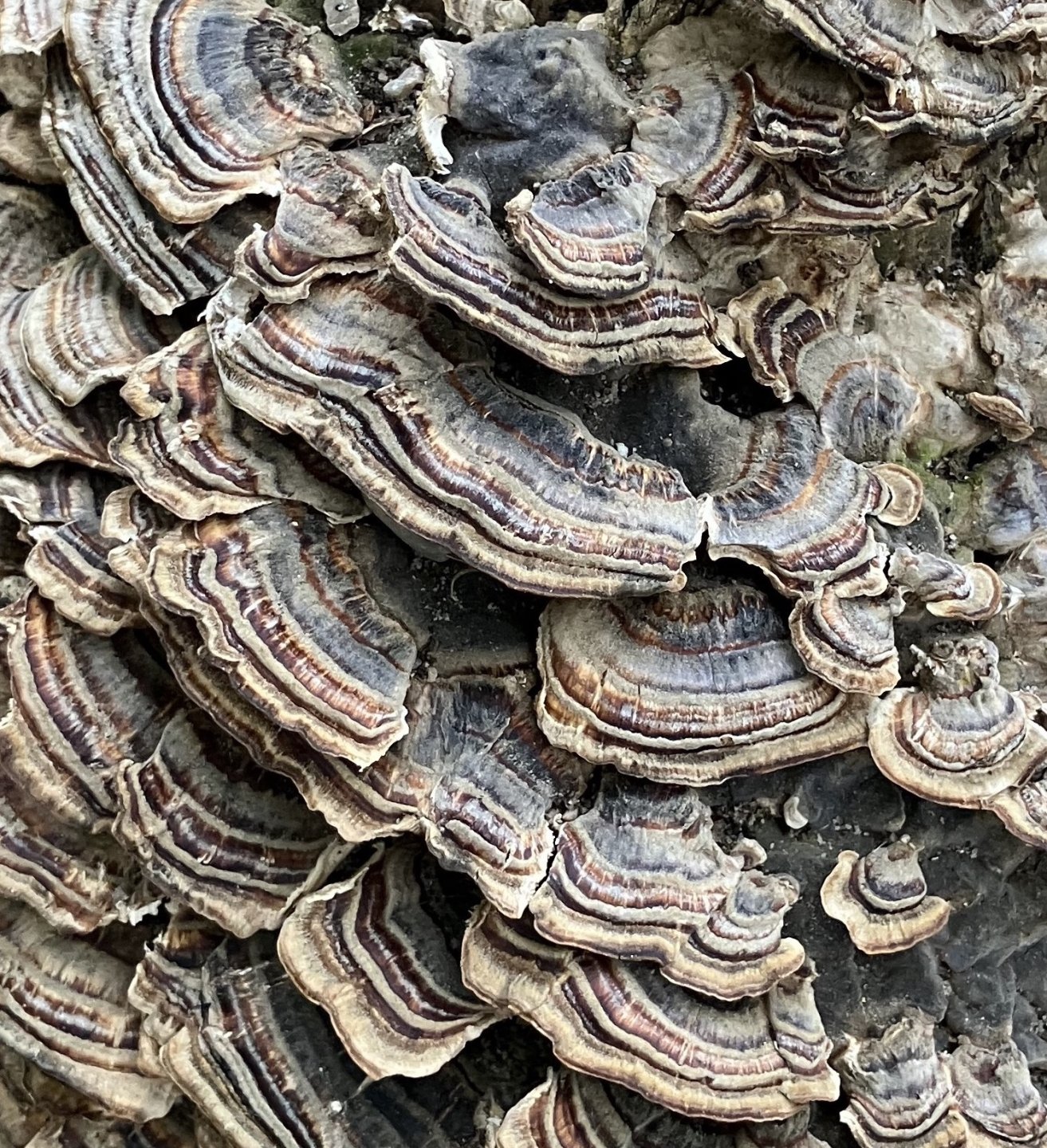 Open Call pro studující UMPRUM