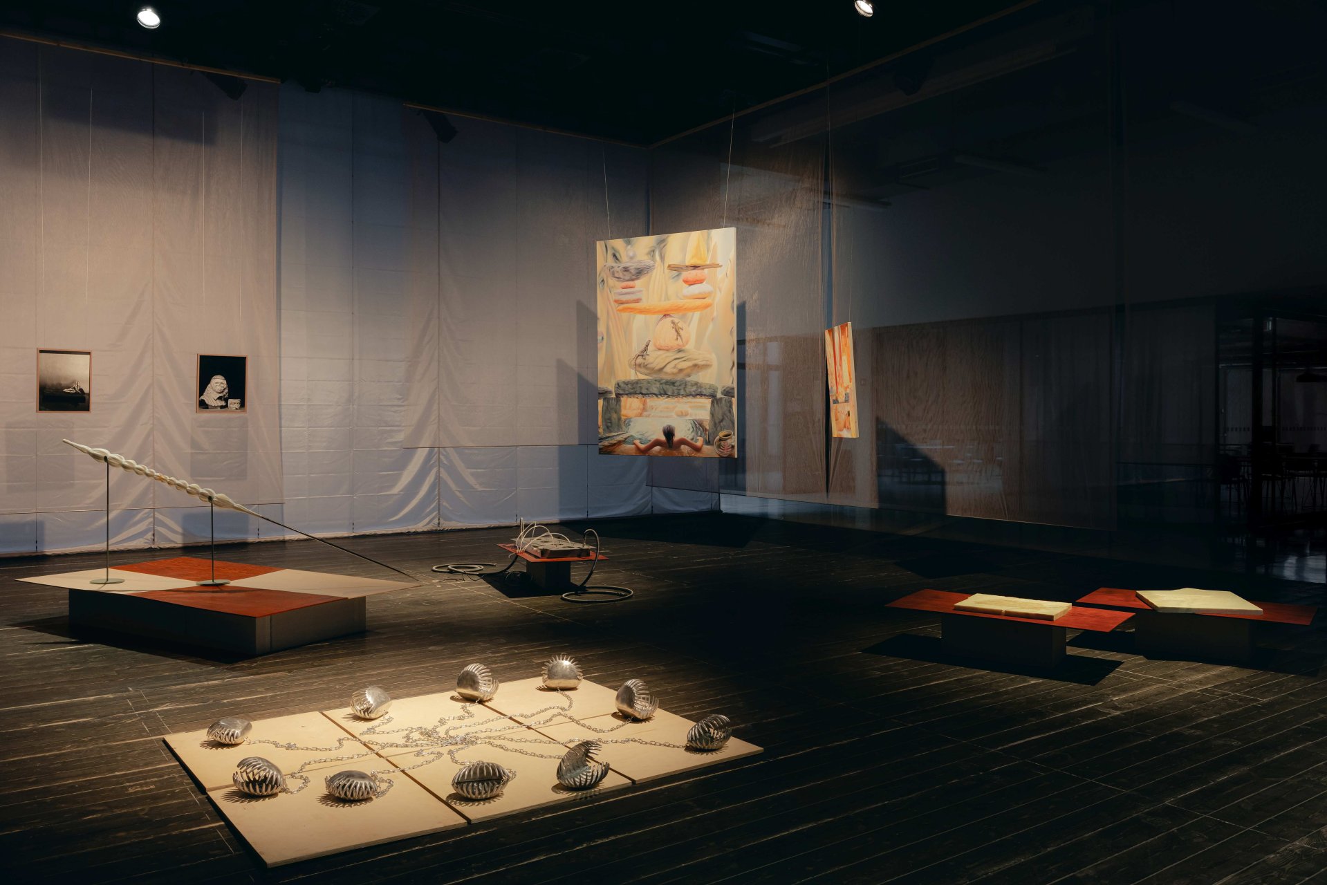 Biopersistence - komentovaná prohlídka a rozloučení s výstavou