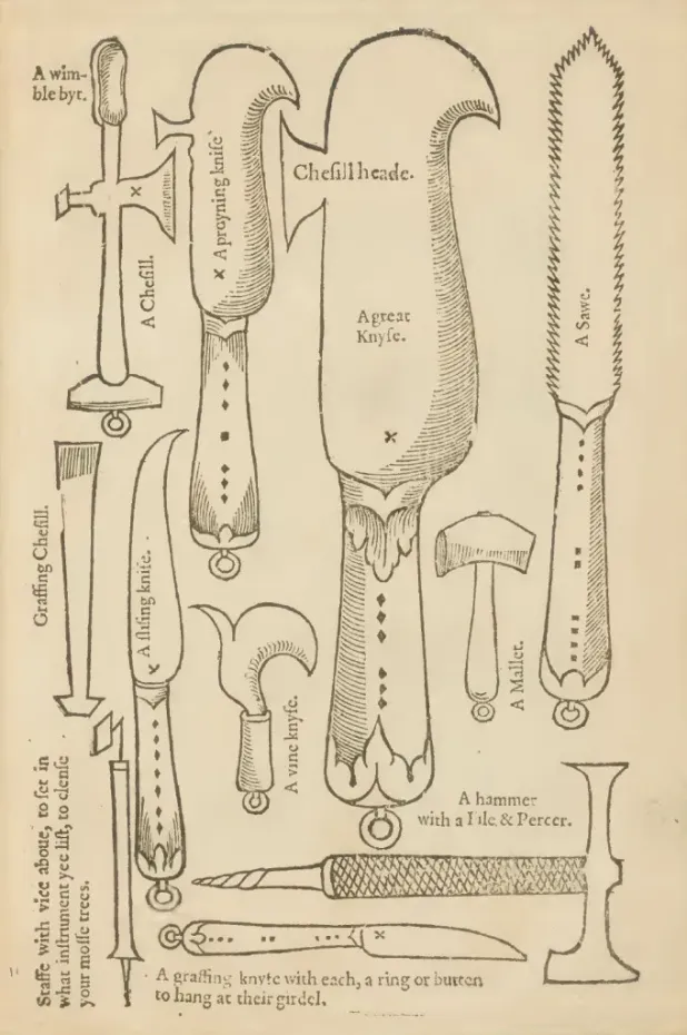 Workshop roubování