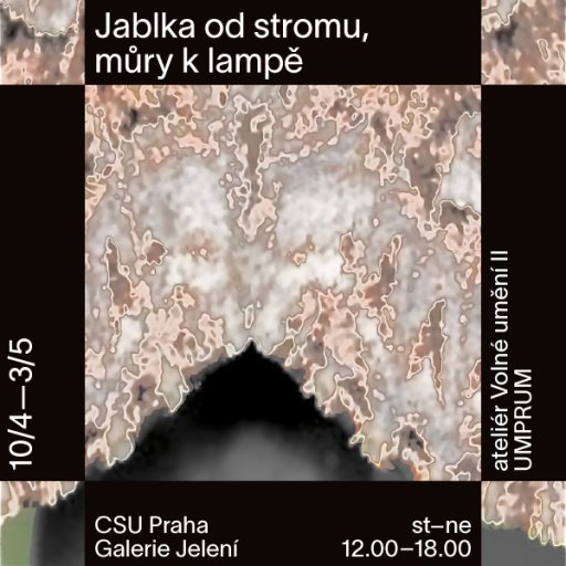 Jablka od stromu, můry k lampě