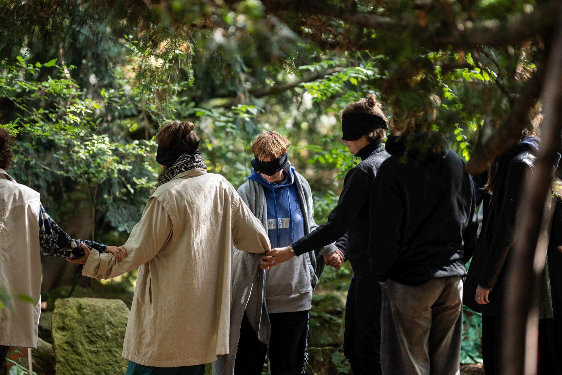 Fog: School of Ecological Imagination