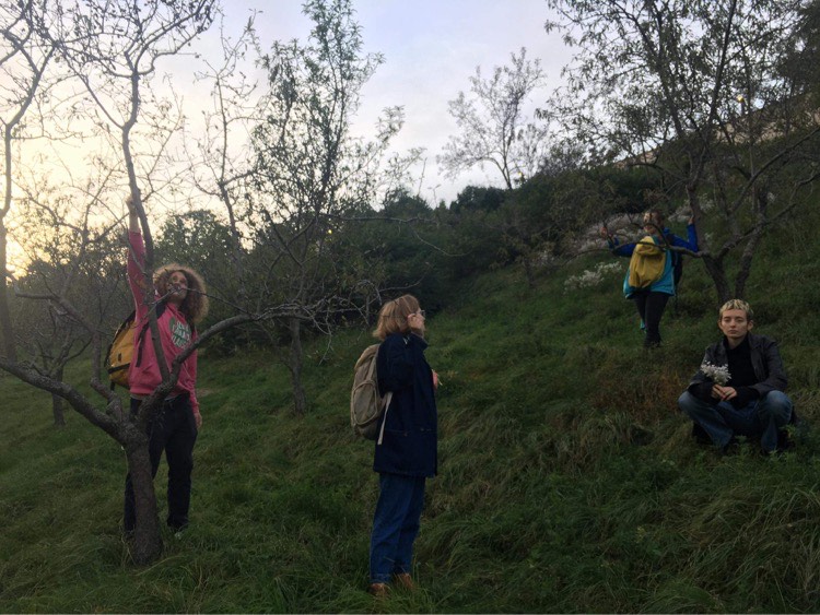 UMPRUM Online // “Mít kolektiv je pro nás možnost něco udělat a proniknout hlouběji do zavedených struktur.” Kolektiv Knedlík vystavuje v Galerii NIKA.