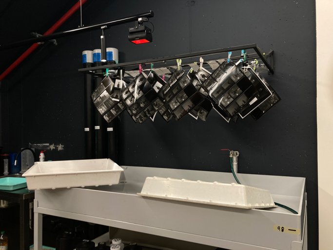 Kurz analogové fotografie pro veřejnost – portrét (září 2025)