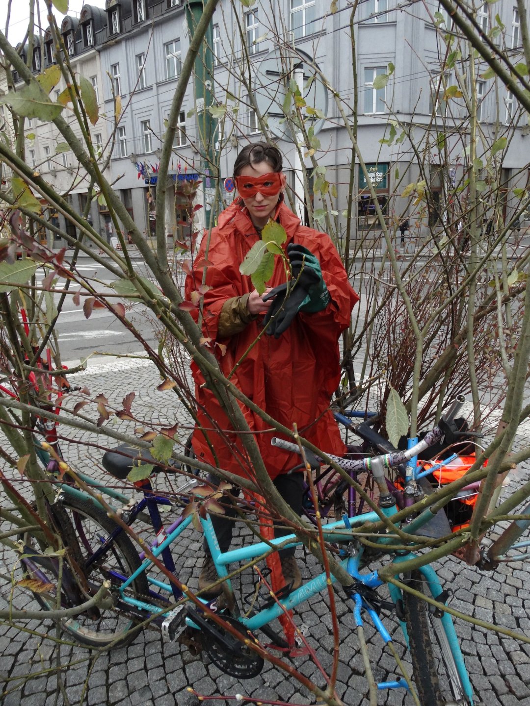 UMPRUM Online // Křoví v Hradci Králové