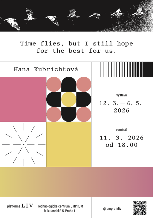 Hana Kubrichtová in LIV: Time flies, but I still hope for the best for us