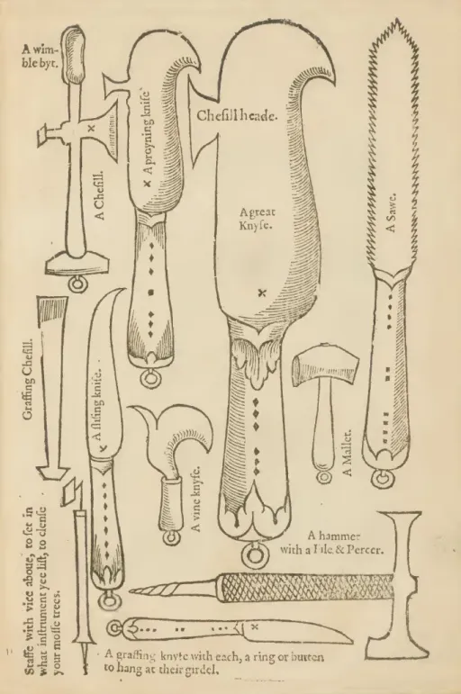 Workshop roubování