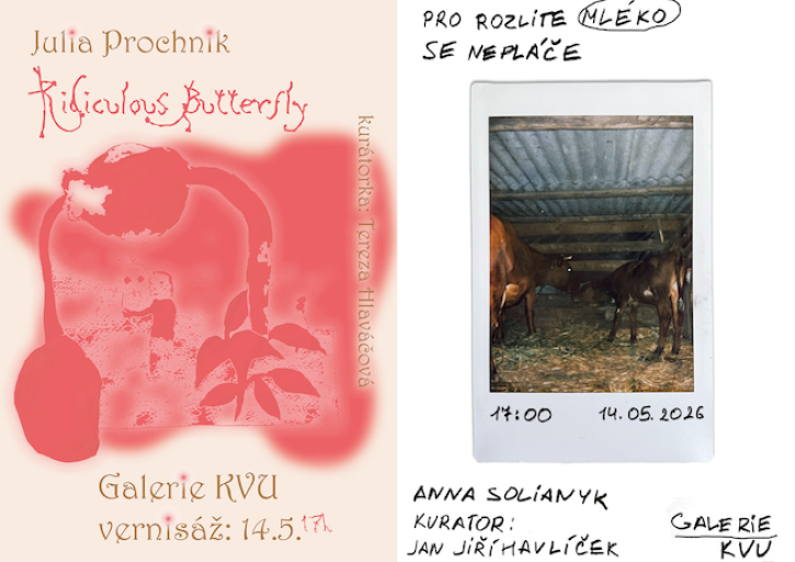 Julia Prochnik & Anna Solianyk v Galerii KVU!
