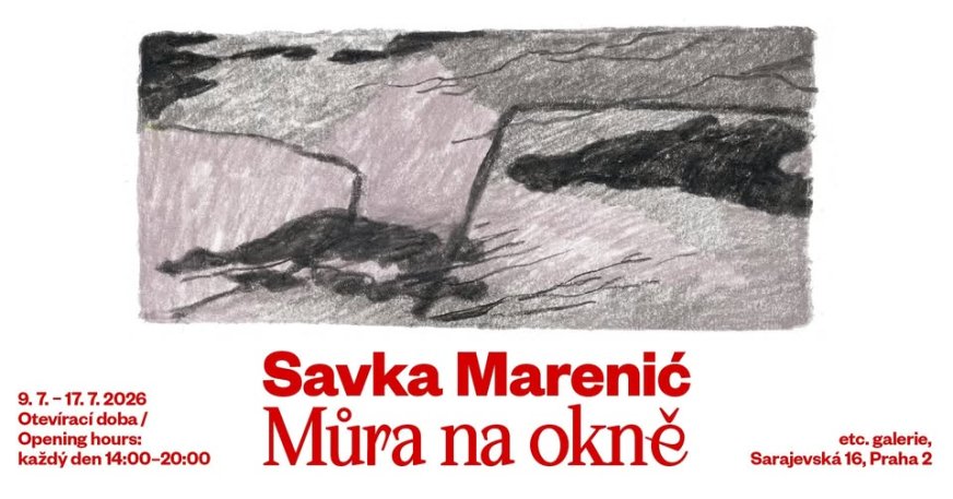 Savka Marenić: Můra na okně