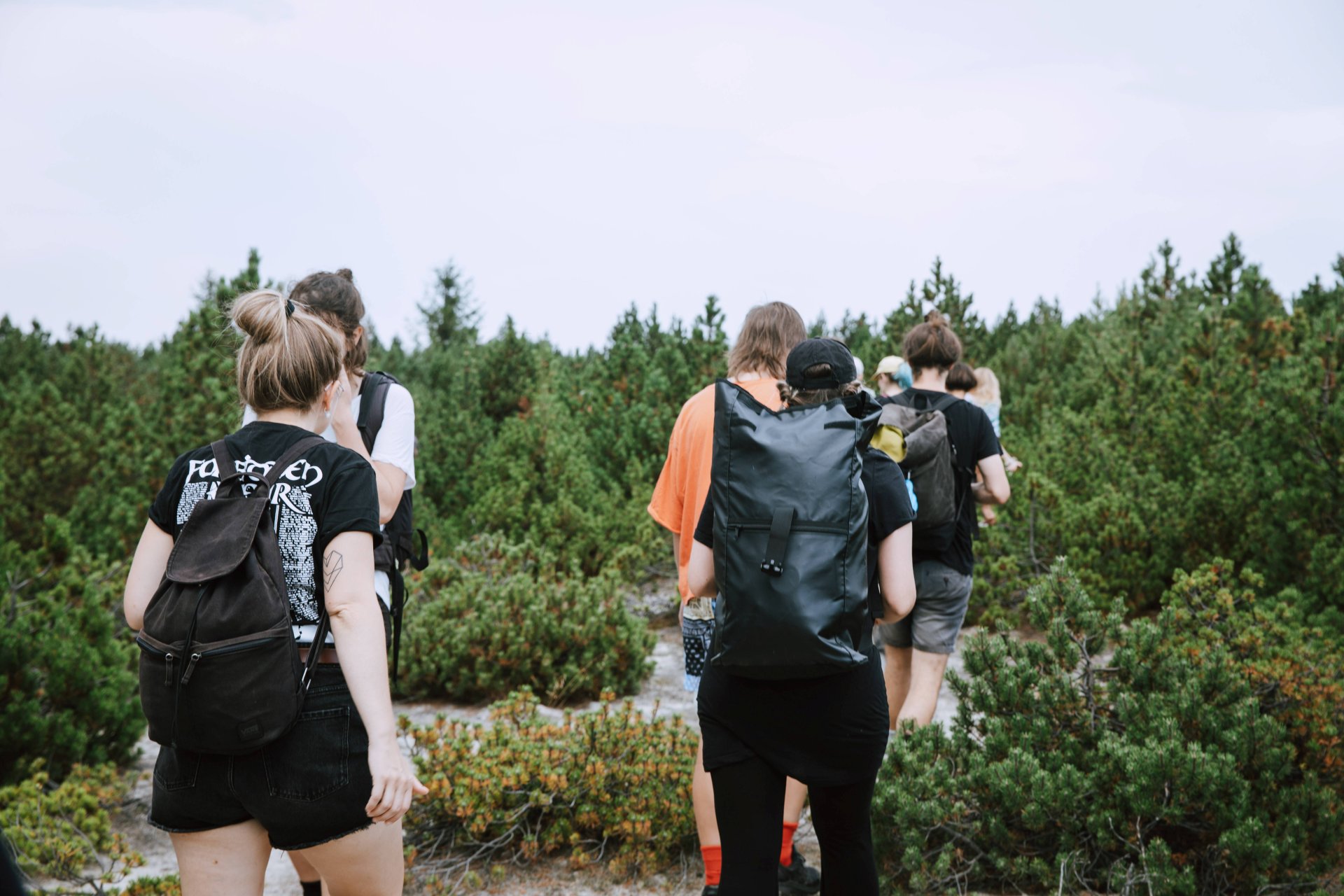 𝓢𝔂𝓶𝓹𝓽𝓸𝓶𝔂 𝓫𝓾𝓭𝓸𝓾𝓬𝓷𝓸𝓼𝓽𝓲