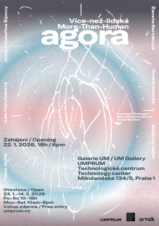 Více-než-lidská-agora