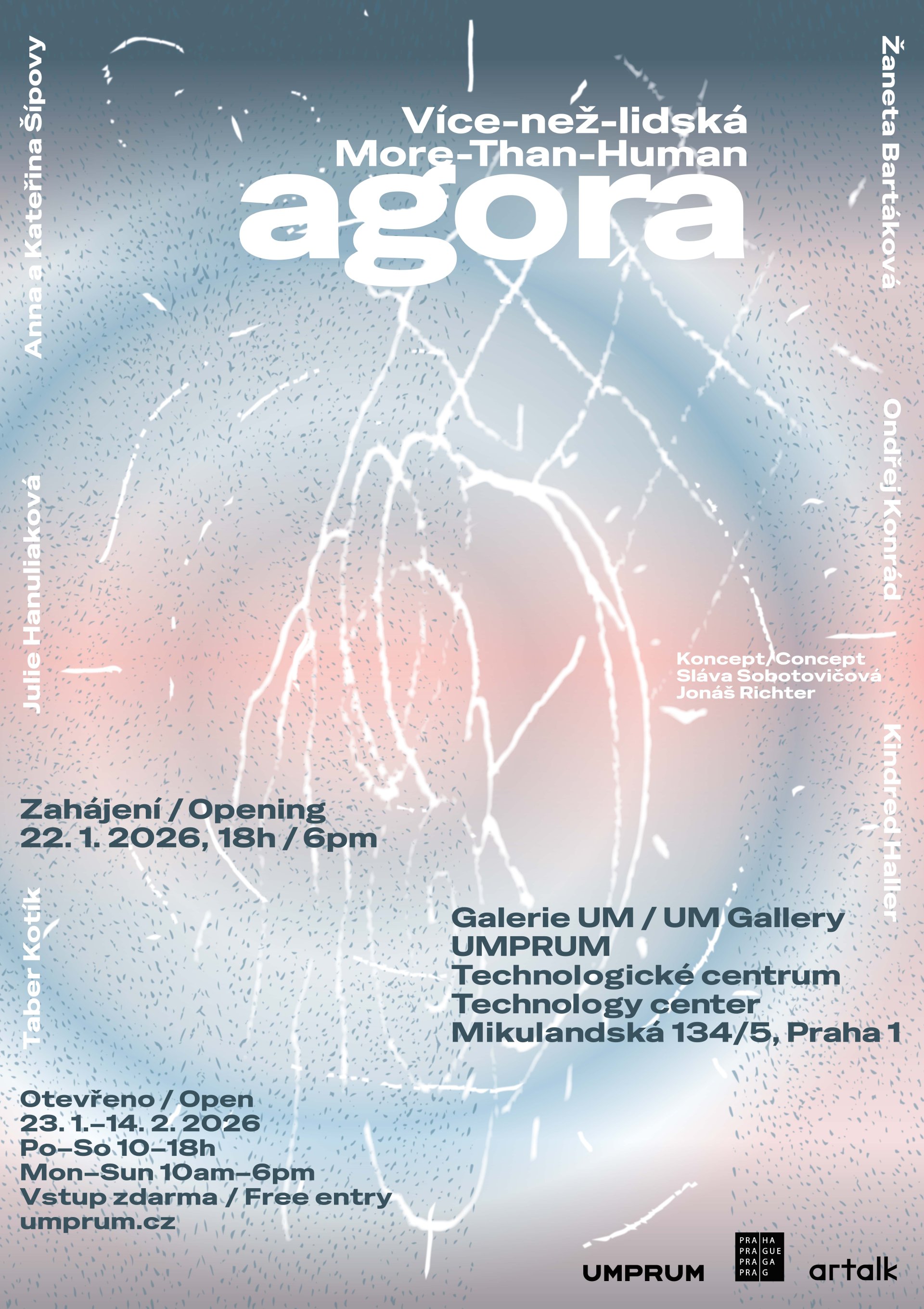 Více-než-lidská-agora