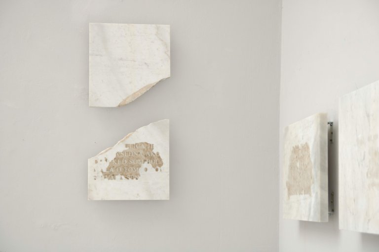 Biopersistence - komentovaná prohlídka výstavy